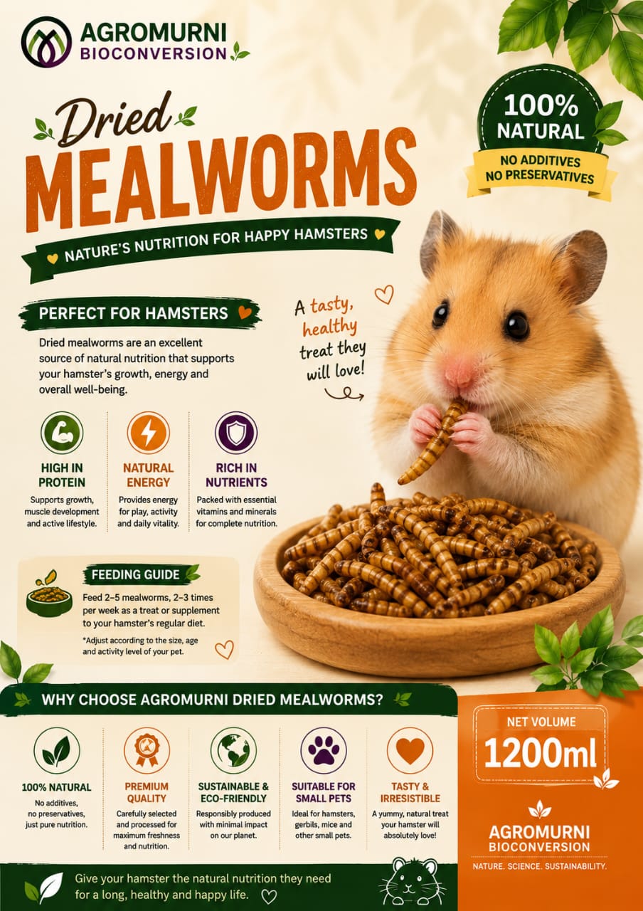 Dried mealworms feeding guide for hamsters